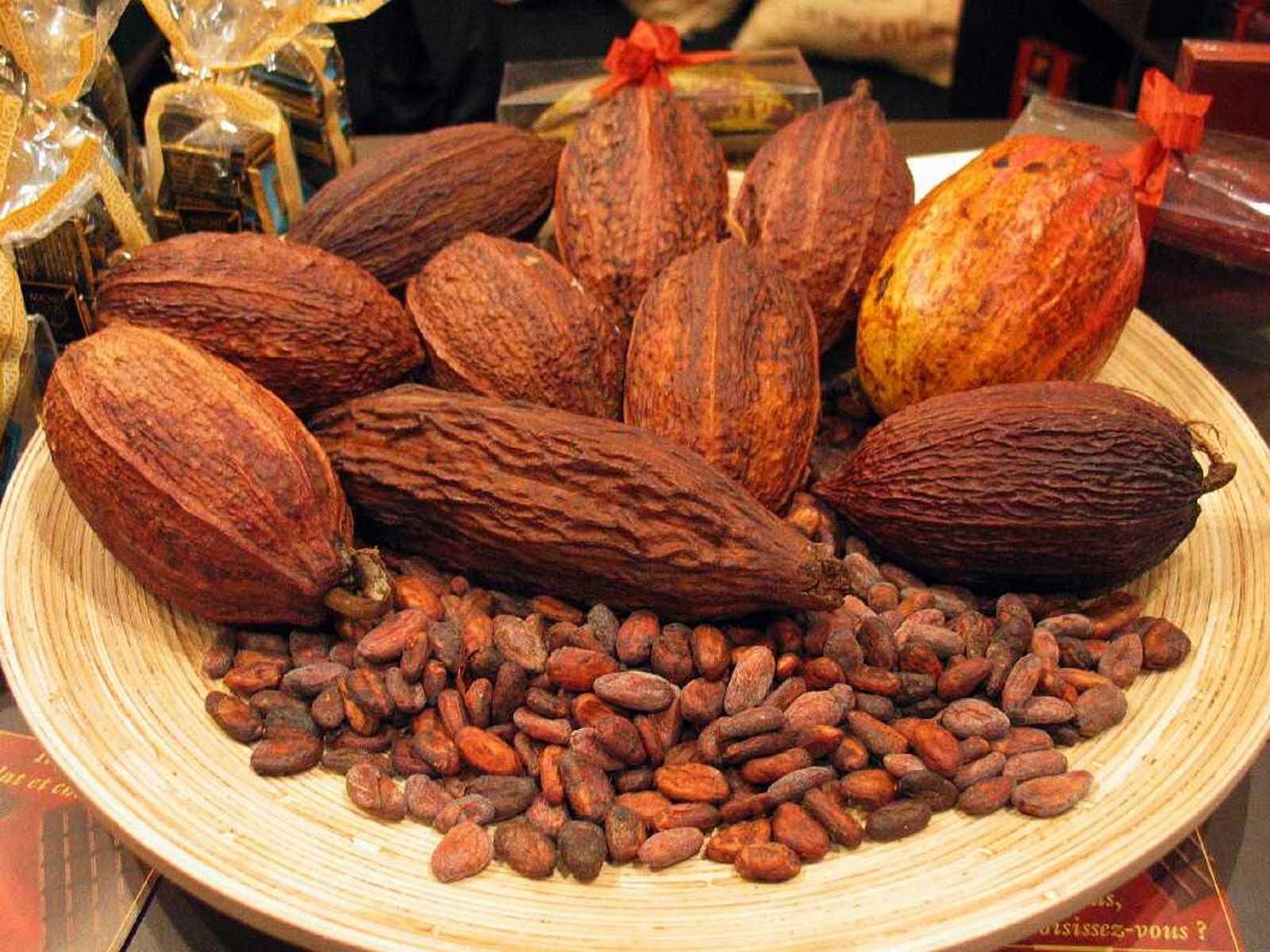 Semillas de cacao